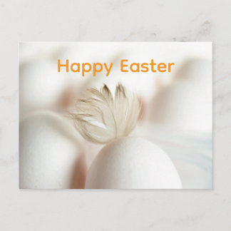 Feather Graphic Holiday Postcard