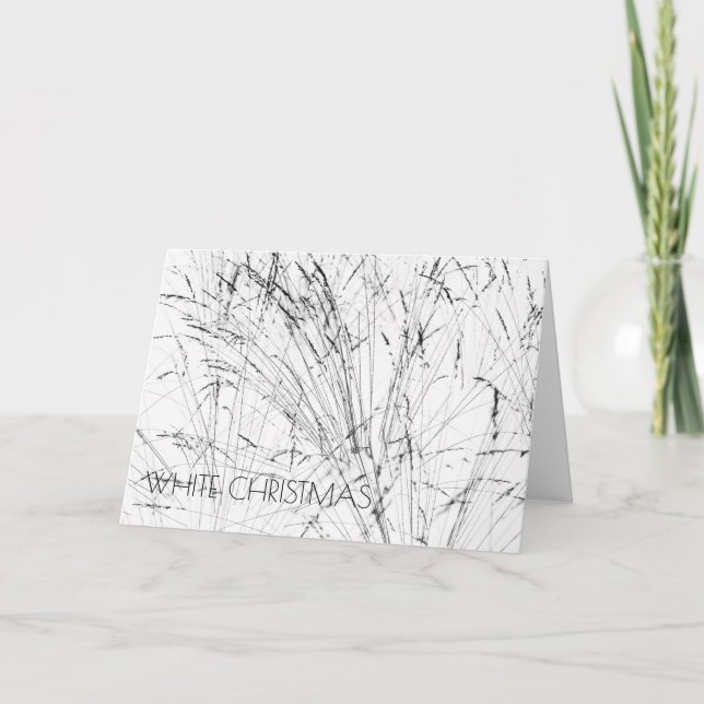 Feather Grass In Snow Horizontal Holiday Card (Front)