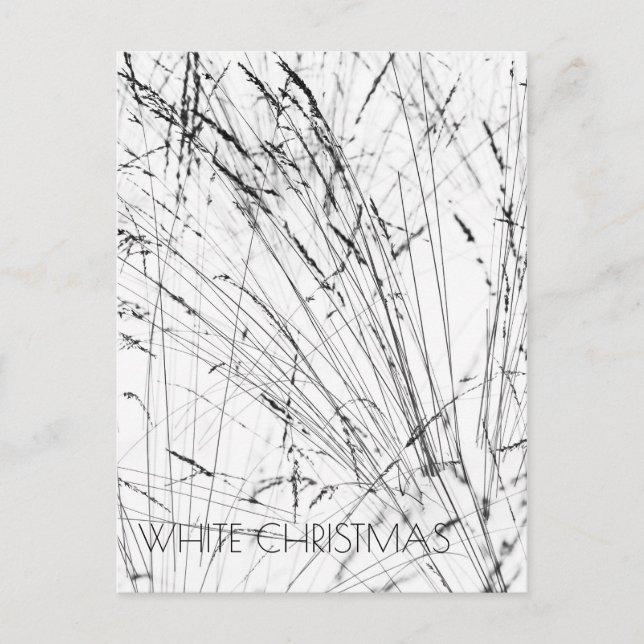 Feather Grass In Snow Vertical Holiday Postcard (Front)