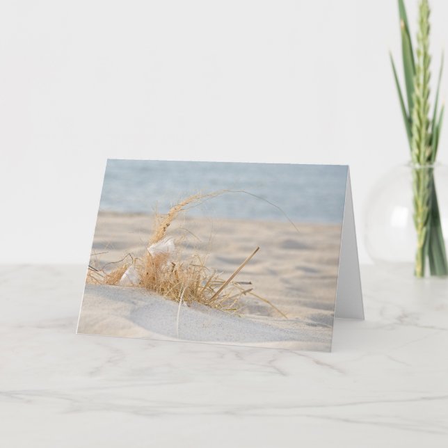 feather in beach grass card (Front)