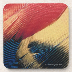 Feather surface 3 coaster