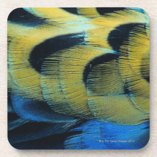 Feather surface 4 coaster
