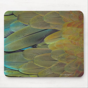 Feather surface mouse pad