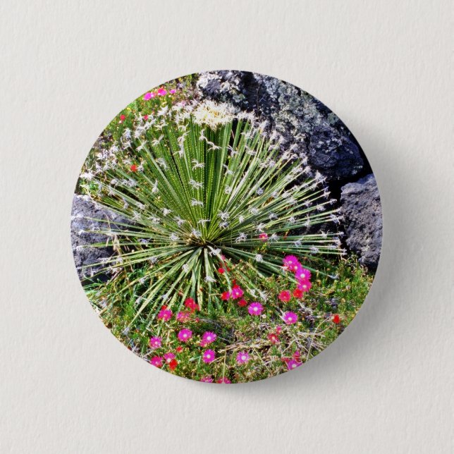 Feather-tipped Succulent 6 Cm Round Badge (Front)