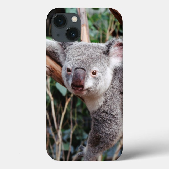 Featherdale Wildlife Park, Koala Bears Case-Mate iPhone Case (Back)
