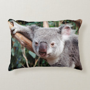 Featherdale Wildlife Park, Koala Bears Decorative Cushion