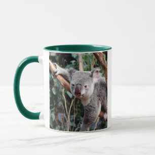 Featherdale Wildlife Park, Koala Bears Mug