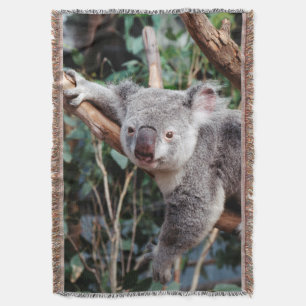 Featherdale Wildlife Park, Koala Bears Throw Blanket