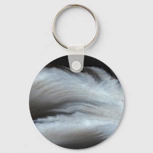 Feathered Black Agate cool natural stone Key Ring