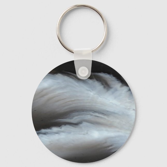 Feathered Black Agate cool natural stone Key Ring (Front)