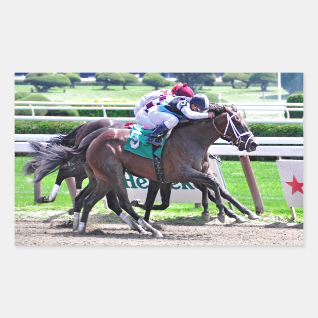 Feathered by Indian Charlie-Receipt Rectangular Sticker (Front)