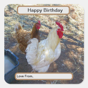 Feathered Companions: White Rooster and His Hen Square Sticker