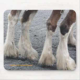 Feathered Feet Mouse Pad