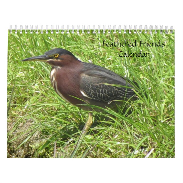Feathered Friends 2013 Calendar - Encore Edition (Cover)