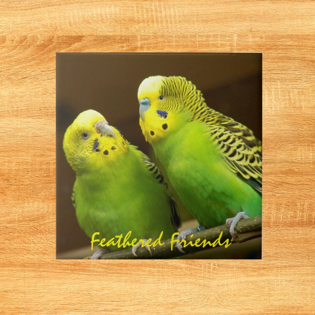 Feathered Friends Green and Yellow Parakeets Ceramic Tile (In Situ)