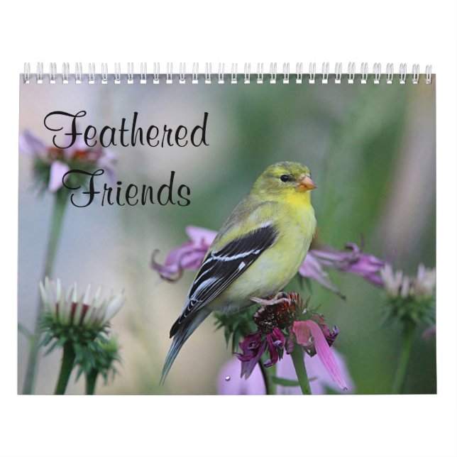Feathered Friends - Wild Birds Calendar (Cover)
