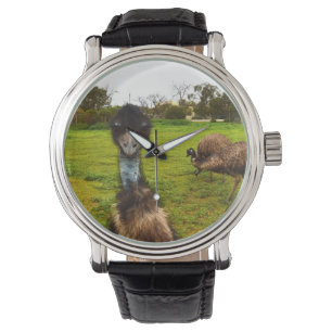 "Feathered Interruption: The Great Emu Photobomb" Watch