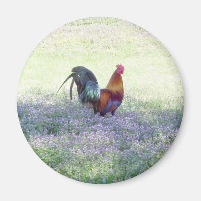 Feathered Pride Magnet (Front)