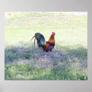 Feathered Pride Poster