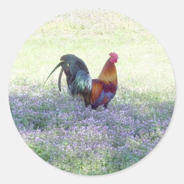 Feathered Pride Sticker (Front)