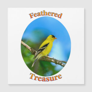 Feathered Treasure - American Goldfinch 