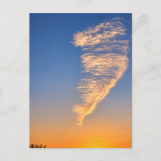 Featherlike Cloud Golden Sunset Sky Postcard