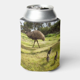 "Feathers and Footsteps: Father Emu's With Chicks Can Cooler