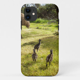 Feathers and Footsteps: Father Emu's With Chicks iPhone 11 Case