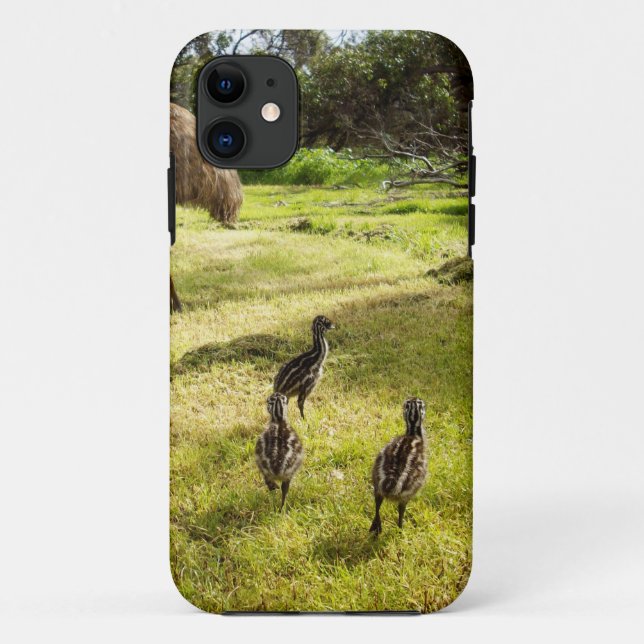 Feathers and Footsteps:  Father Emu's With Chicks Case-Mate iPhone Case (Back)