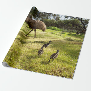 Feathers and Footsteps: Father Emu's With Chicks Wrapping Paper