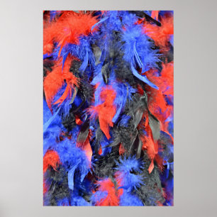 feathers boa in red blue and black colours poster