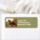 Feathers Clydesdale Draught   Horse Address Labels (Insitu)