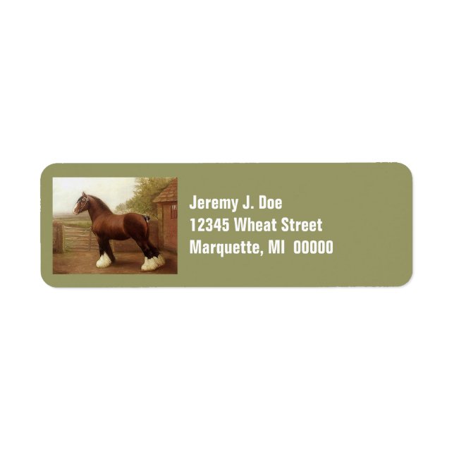Feathers Clydesdale Draught   Horse Address Labels (Front)