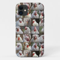 "Feathers in Focus: A White Chicken's Portrait"