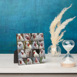 "Feathers in Focus: A White Chicken's Portrait" Plaque