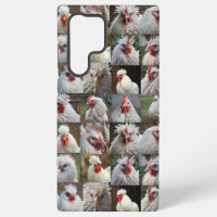 "Feathers in Focus: A White Chicken's Portrait"