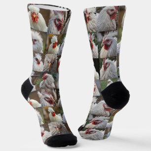 "Feathers in Focus: A White Chicken's Portrait" Socks