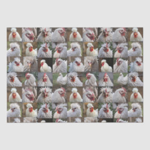 "Feathers in Focus: A White Chicken's Portrait" Tissue Paper