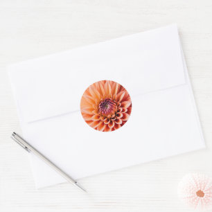 Feathers in Peach Fuzz colour, Classic Round Sticker
