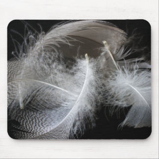Feathers Mouse Pad