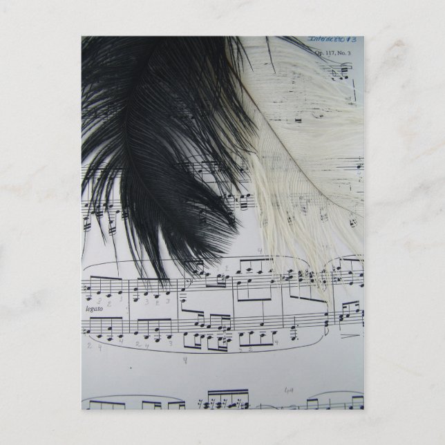 Feathers & Music Postcard (Front)