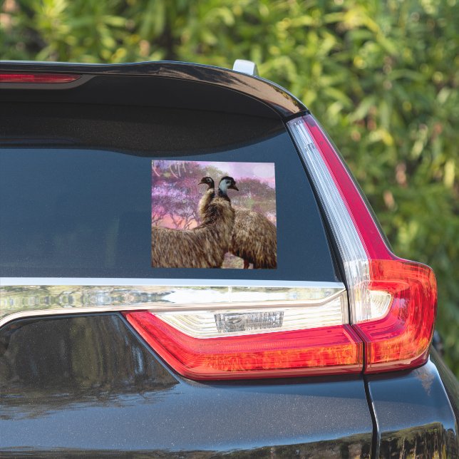 "Feathers of Romance: The Courtship of the Emus" (Car Side)