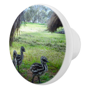 "Feathers of the Future: Three Baby Emu Chicks" Ceramic Knob