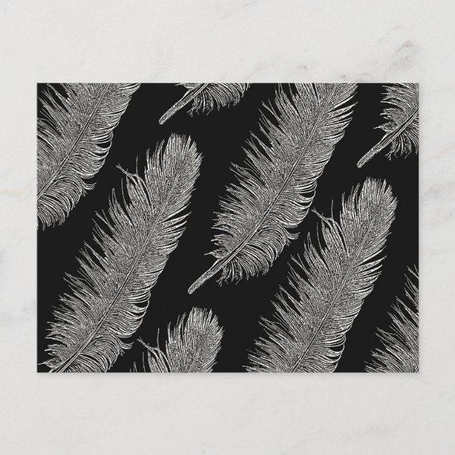 Feathers Postcard (Front)