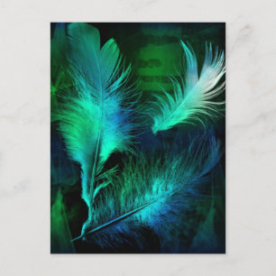 Feathers Postcard