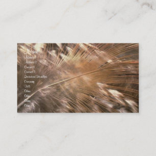 Feathers Profile Card