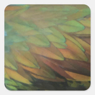 Feathers Square Sticker