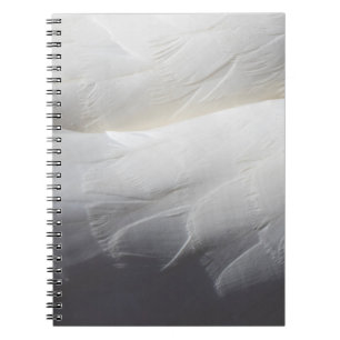 Feathers white swan plumage notebook