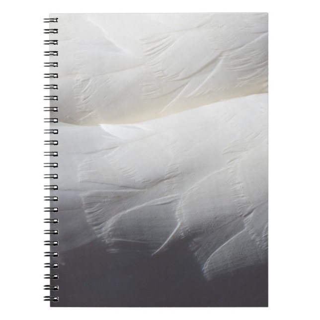 Feathers white swan plumage notebook (Front)