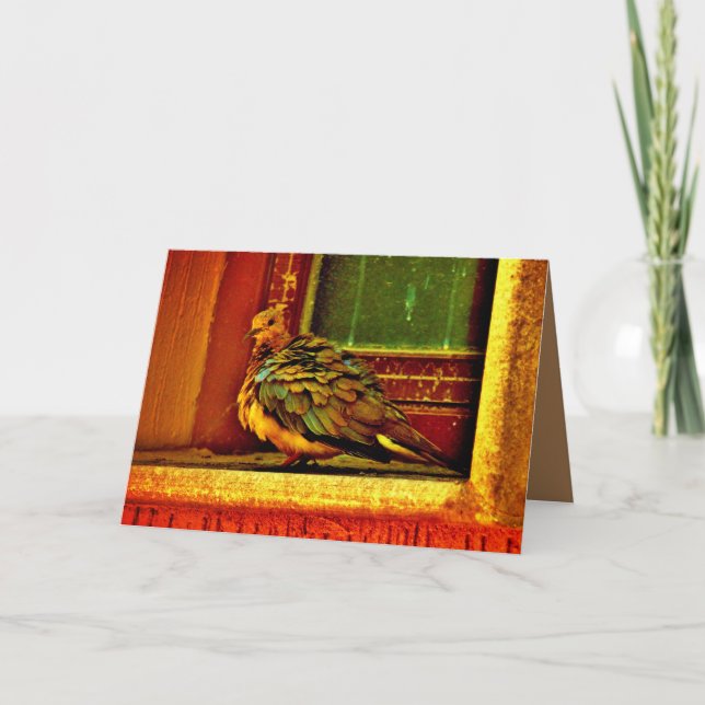 Feathery Dove Card (Front)